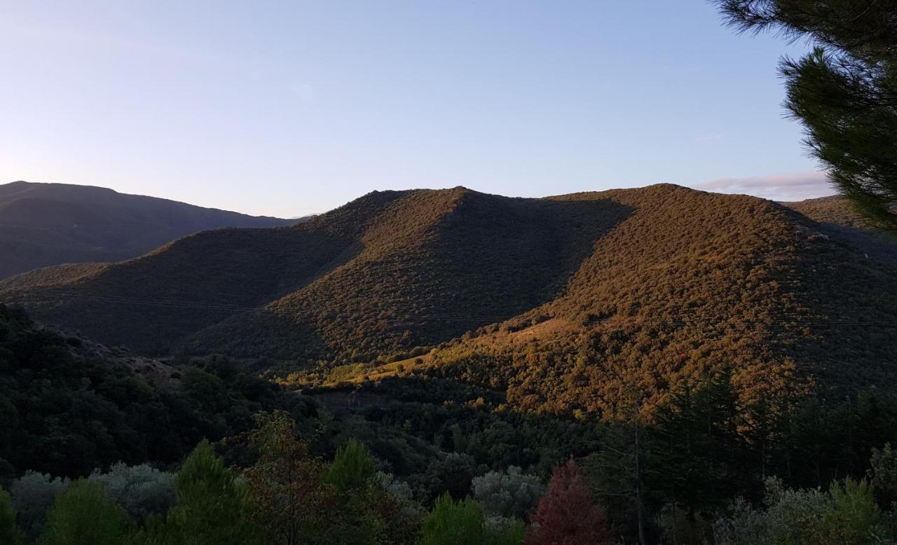 Gites-Terroirs-Occitanie Grenache Felluns Esterno foto